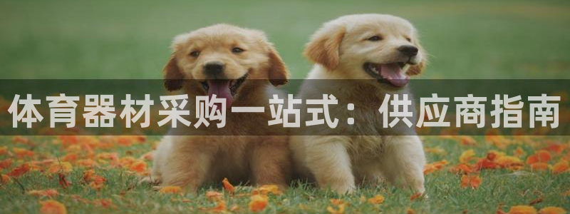 z6尊龙凯时集团