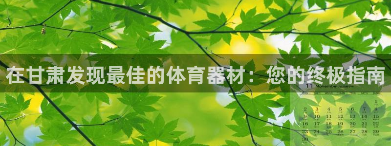 尊龙400