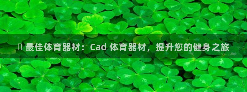 凯时a88