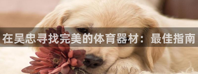 尊龙凯时下载链接