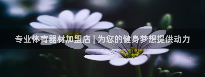 尊龙凯时提不了款