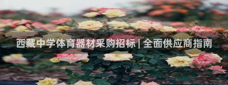 尊龙凯时是直营吗
