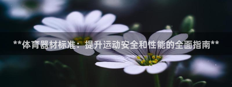 尊龙官网免费下载