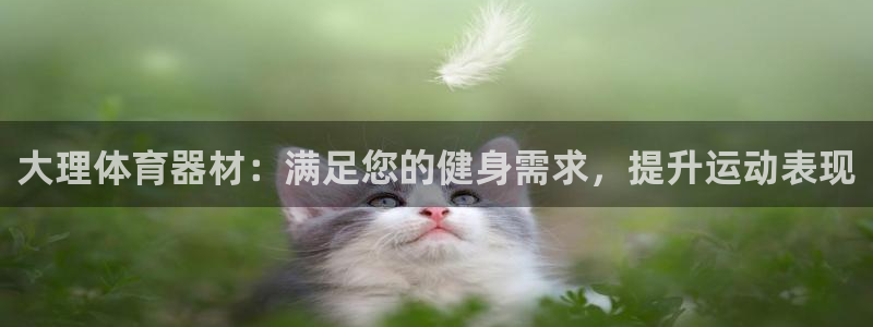 尊龙凯时网站是什么地方人开的