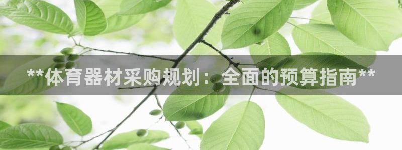 尊龙凯时-人生就是博中国官网