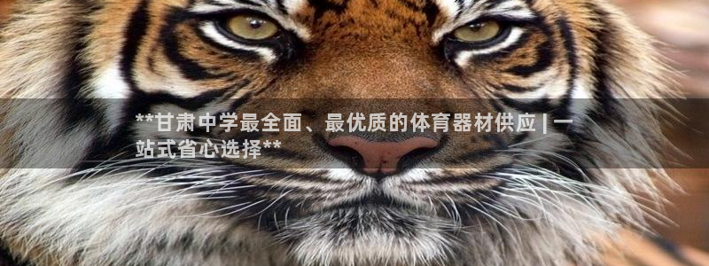 尊龙凯时提不了款