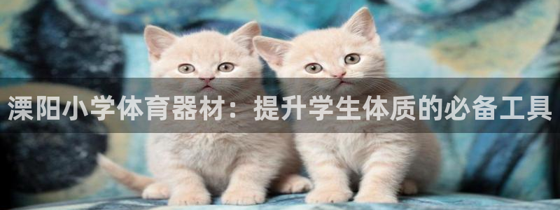 尊龙凯时人生就是搏技术实力