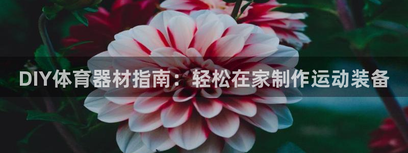 尊龙人生就是博电脑版