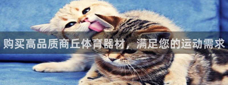 下载凯时AG旗舰厅首页