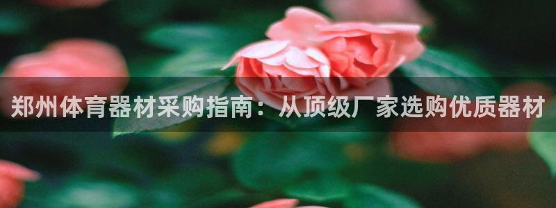 z6尊龙官方网站