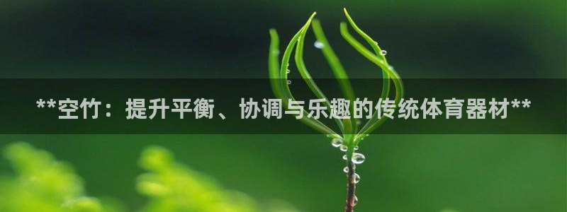 尊龙是什么软件