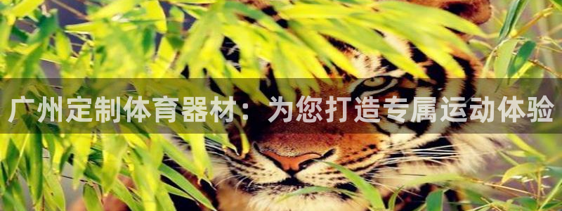 尊龙官网下载