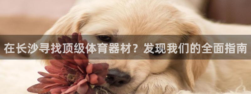 尊龙凯时代理官网入口