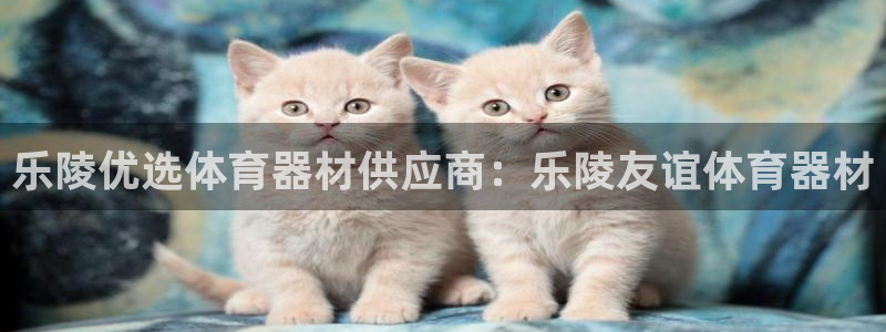尊龙凯时不朽情缘