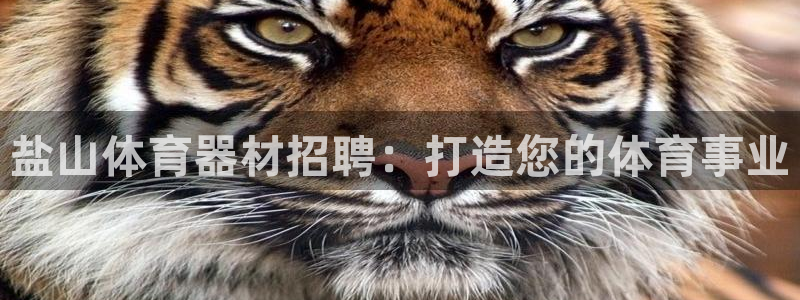 凯时在线平台官网