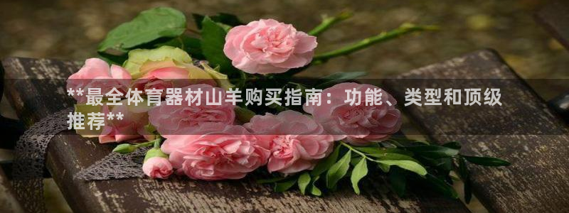 尊龙官网免费下载安装