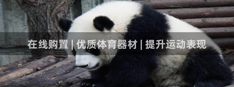 尊龙凯时人生就是搏!平台