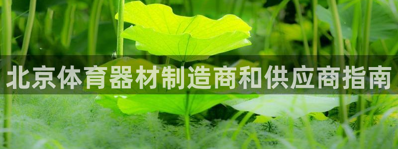 尊龙凯时导航菜单首页