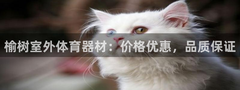 尊龙凯时存款不上分