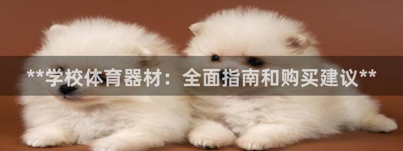 尊龙凯时这个平台怎么样