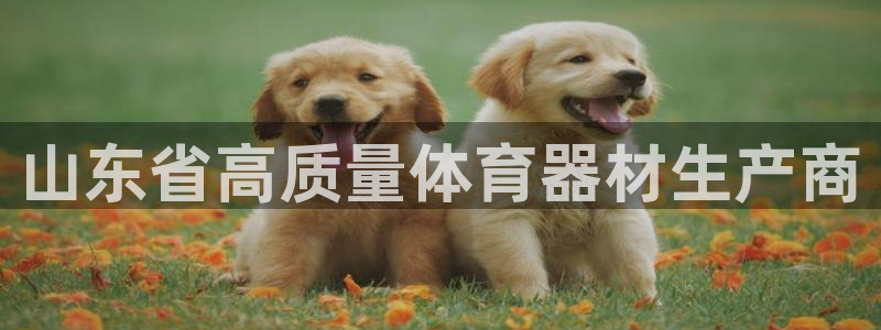 尊龙凯时人生就是搏技术实力