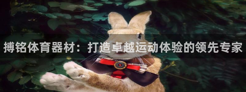 有人在凯时赢过钱吗