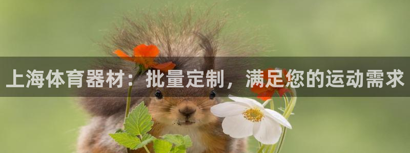 尊龙凯时下载人生就是博