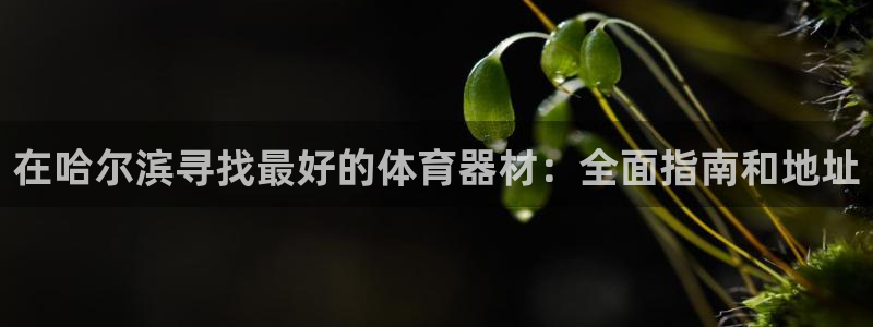 尊龙用现金娱乐一下下载旧