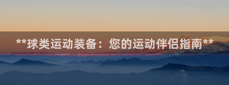 尊龙凯时有限公司：**球类运动装备：您的运动伴侣指南**