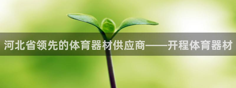 尊龙凯时发展历程
