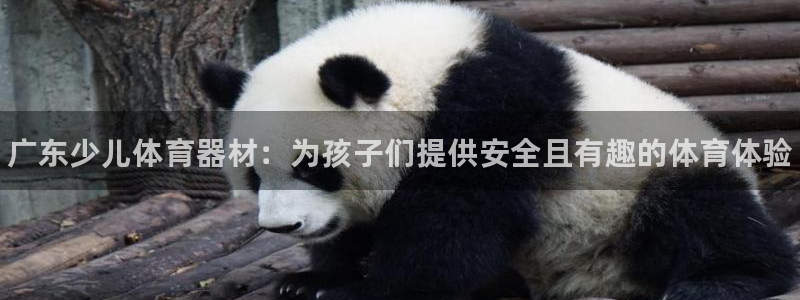 尊龙,人生就是搏