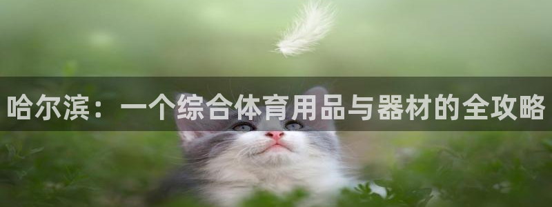 尊龙人生就是博l